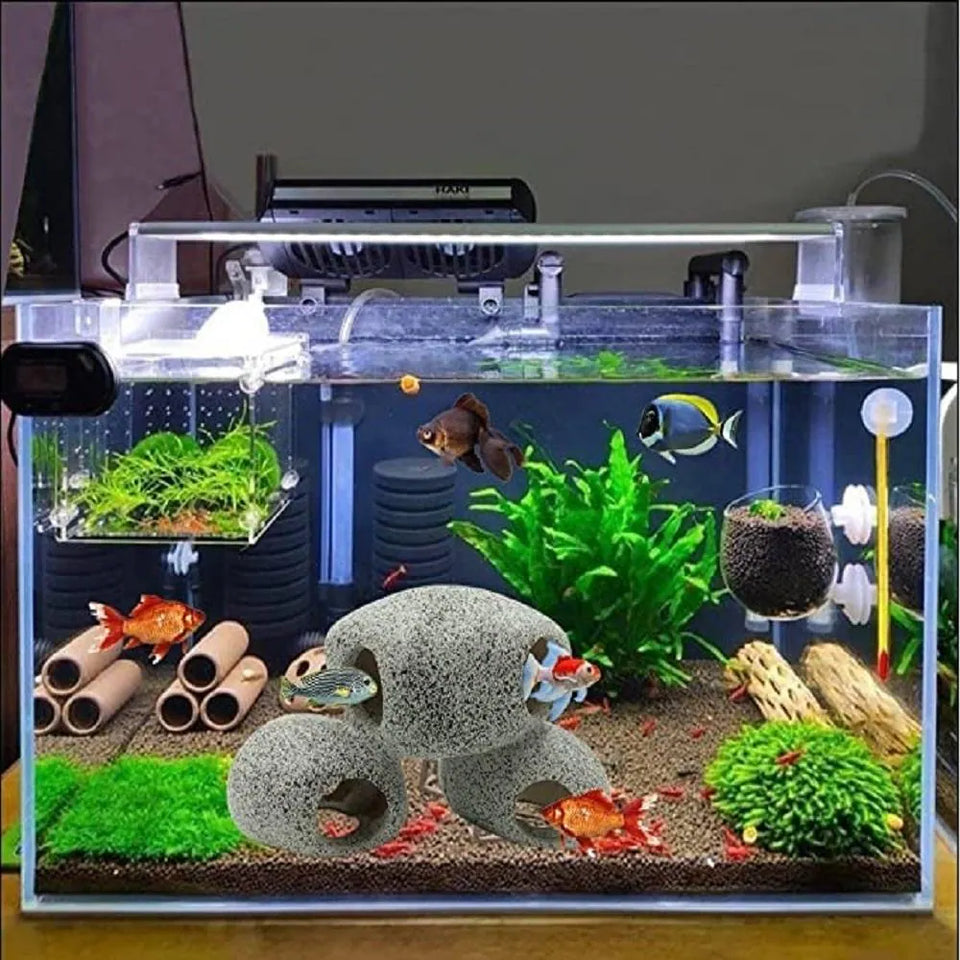 Small Critters & Fish Supplies