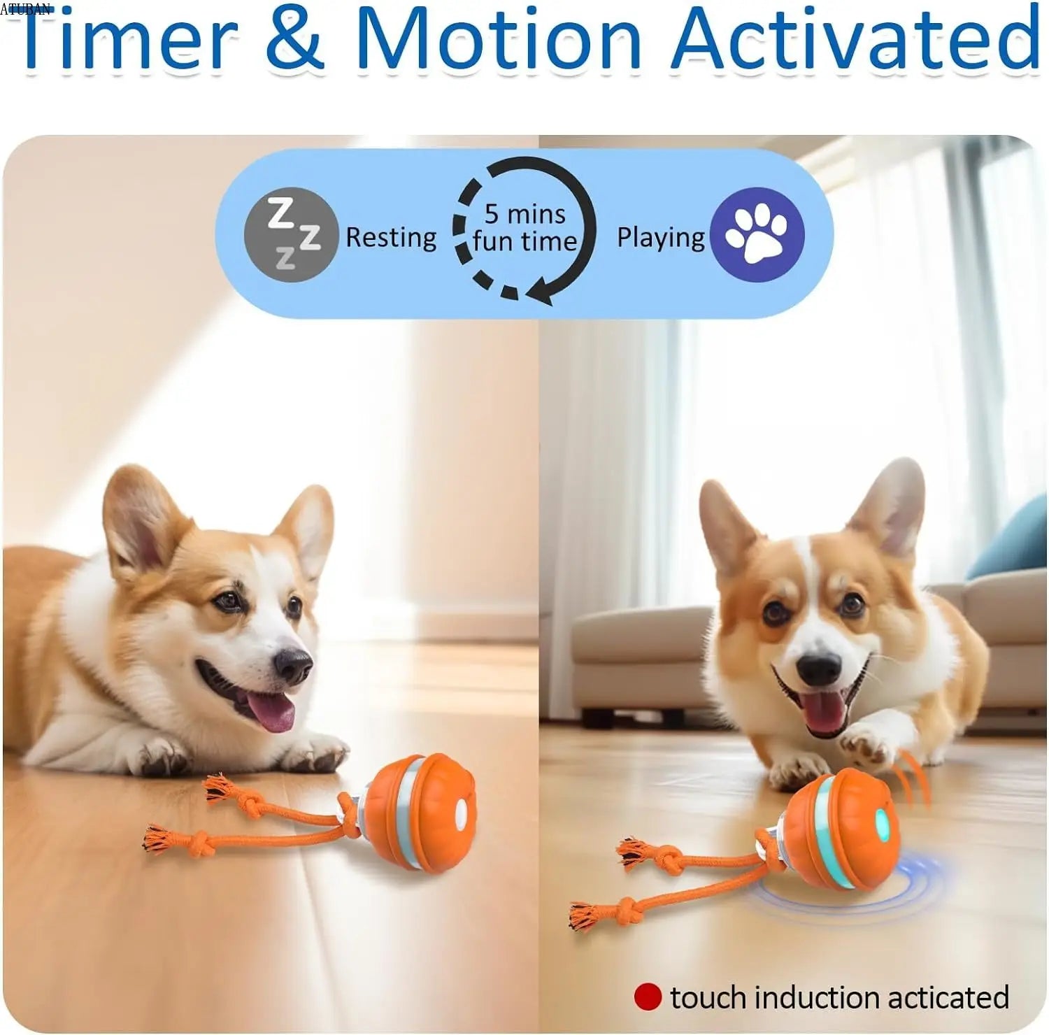 Interactive Dog Toys