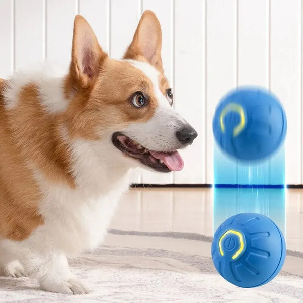 Smart USB-Charged Interactive Toy Ball