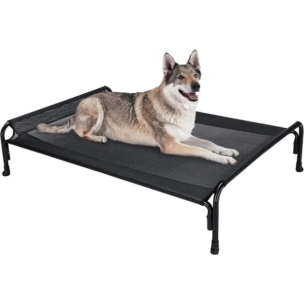Elevated Dog Bed
