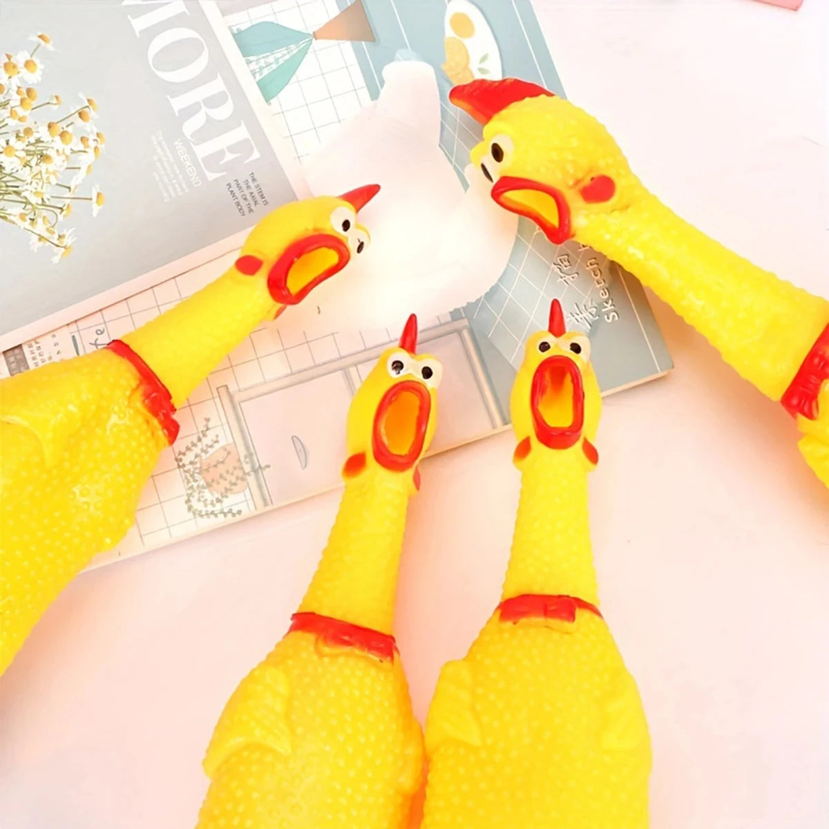 Screaming Chicken Squeeze Dog Toys