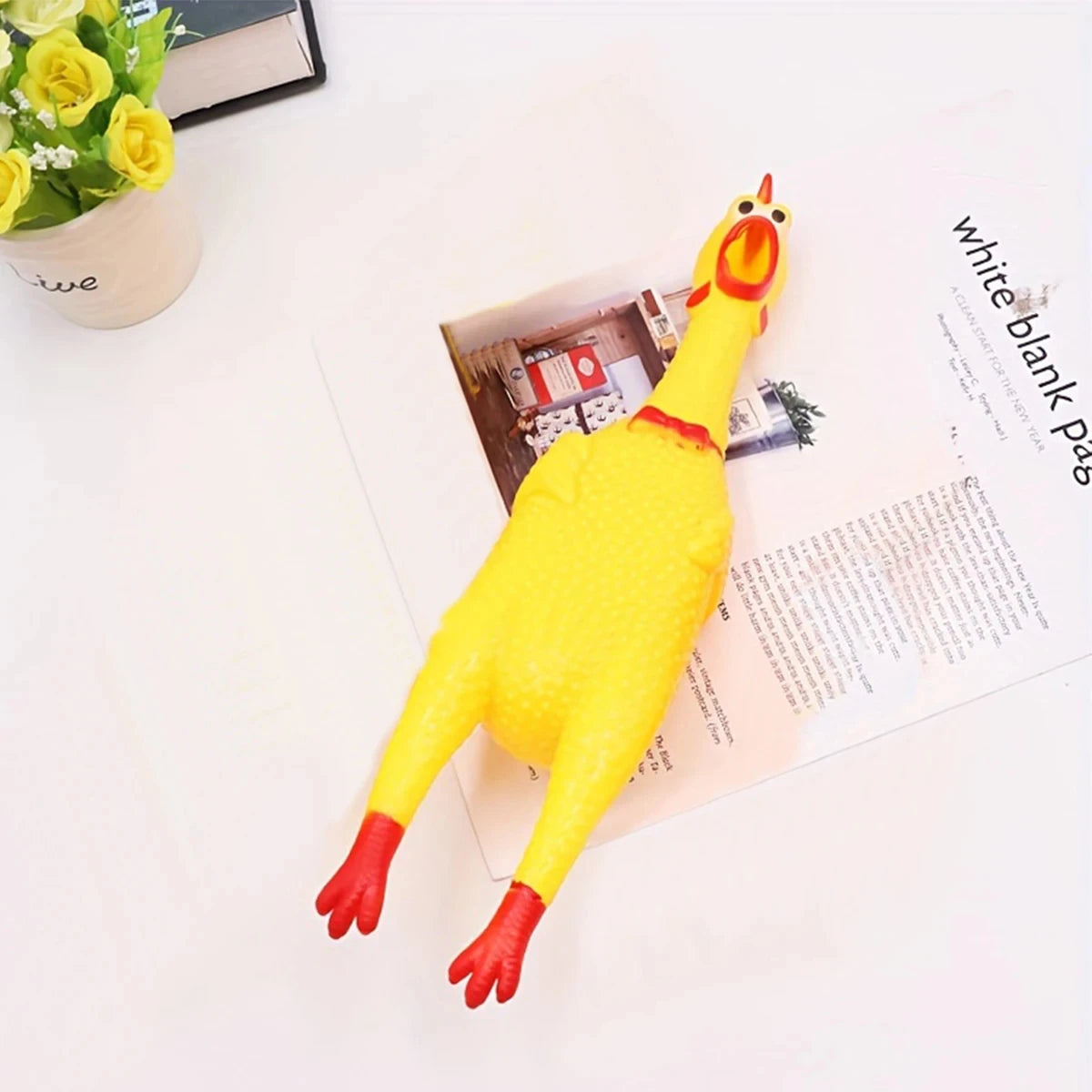 Screaming Chicken Squeeze Dog Toys