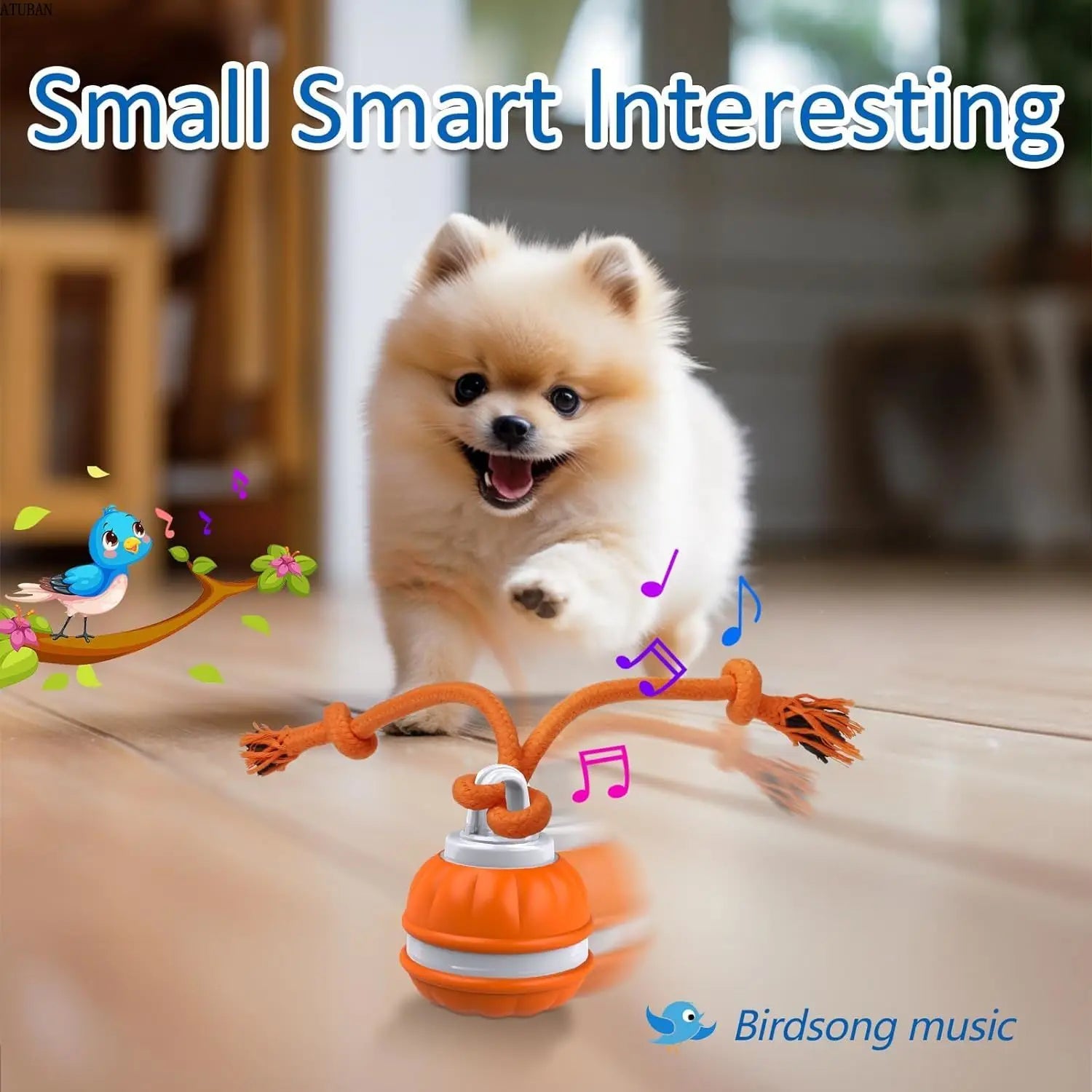 Interactive Dog Toys