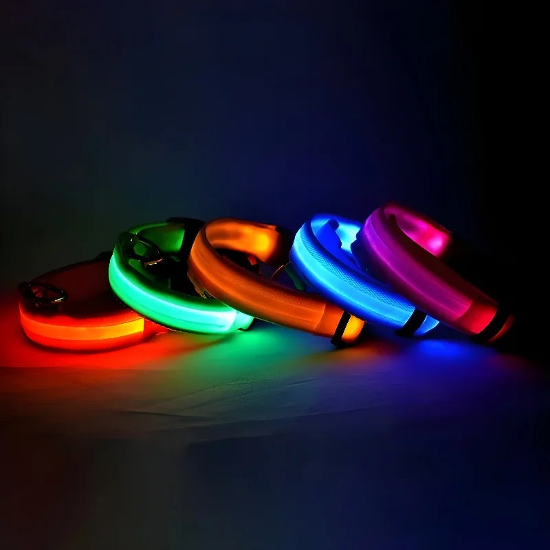 Nylon Safety Flashing Glow In The Dark Dog Leash