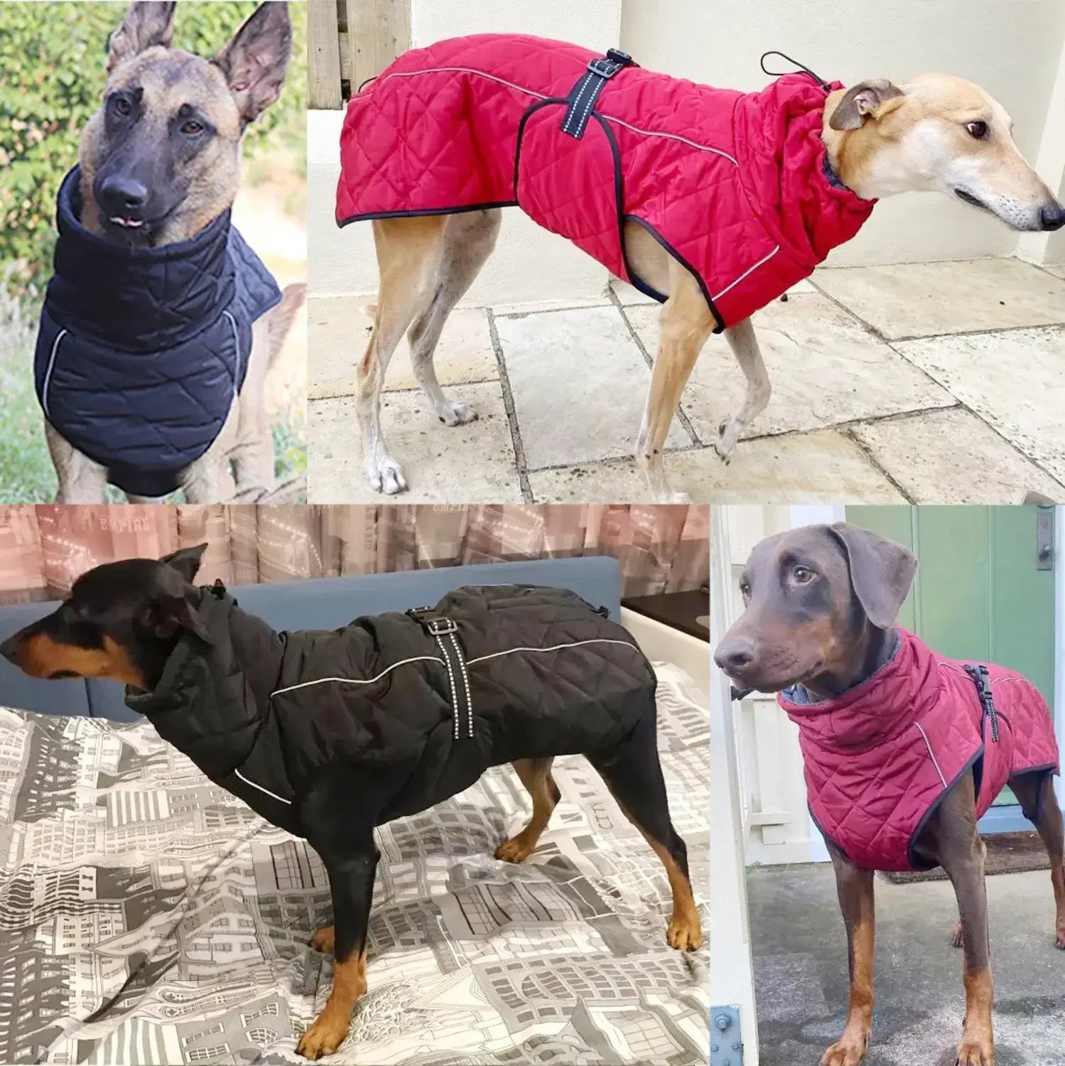 Dog Outdoor Waterproof Reflective Jacket