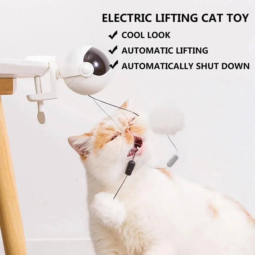 Electronic Motion Cat Toy YoYo