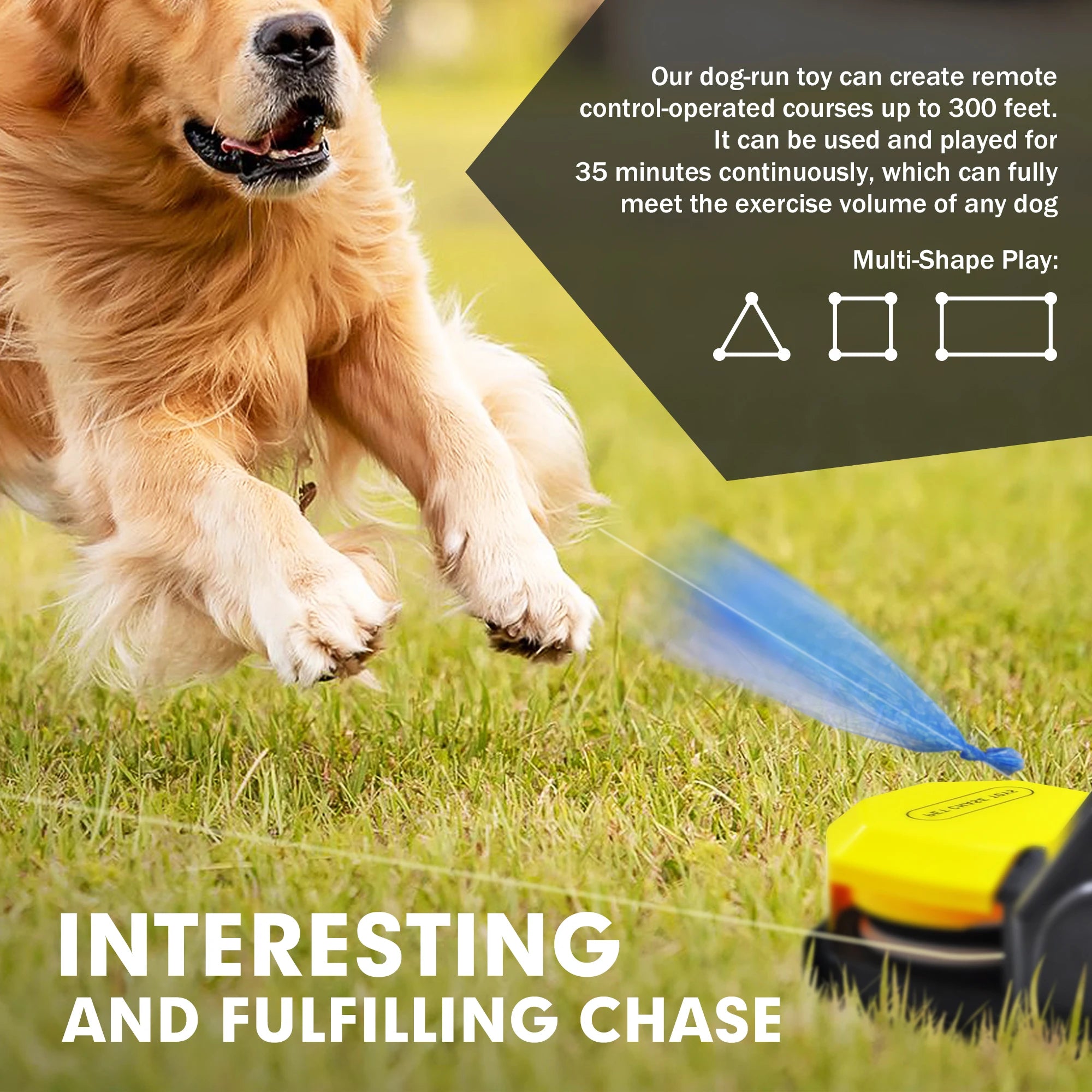 Lure Course Machine for Dogs, Interactive Dog Toys