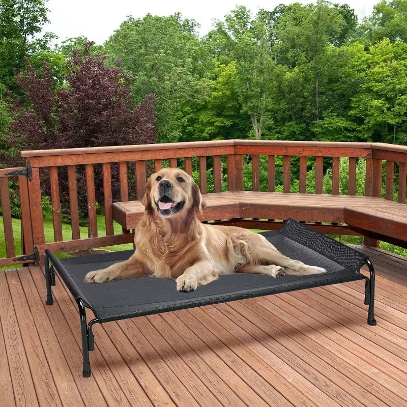 Elevated Dog Bed