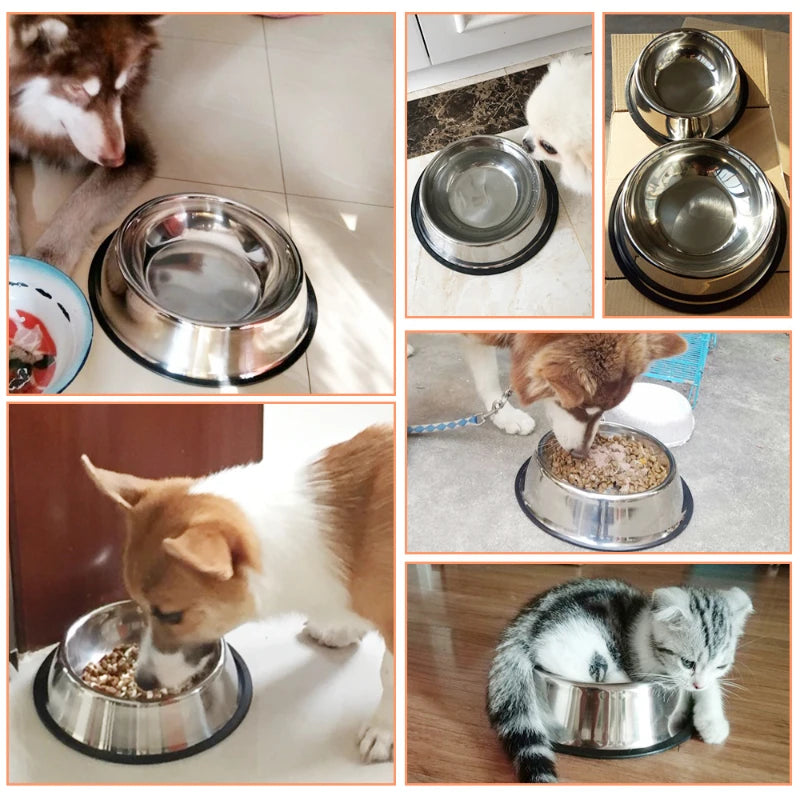 Pet Dog/Cat Stainless Steel Feeding/Water Bowl