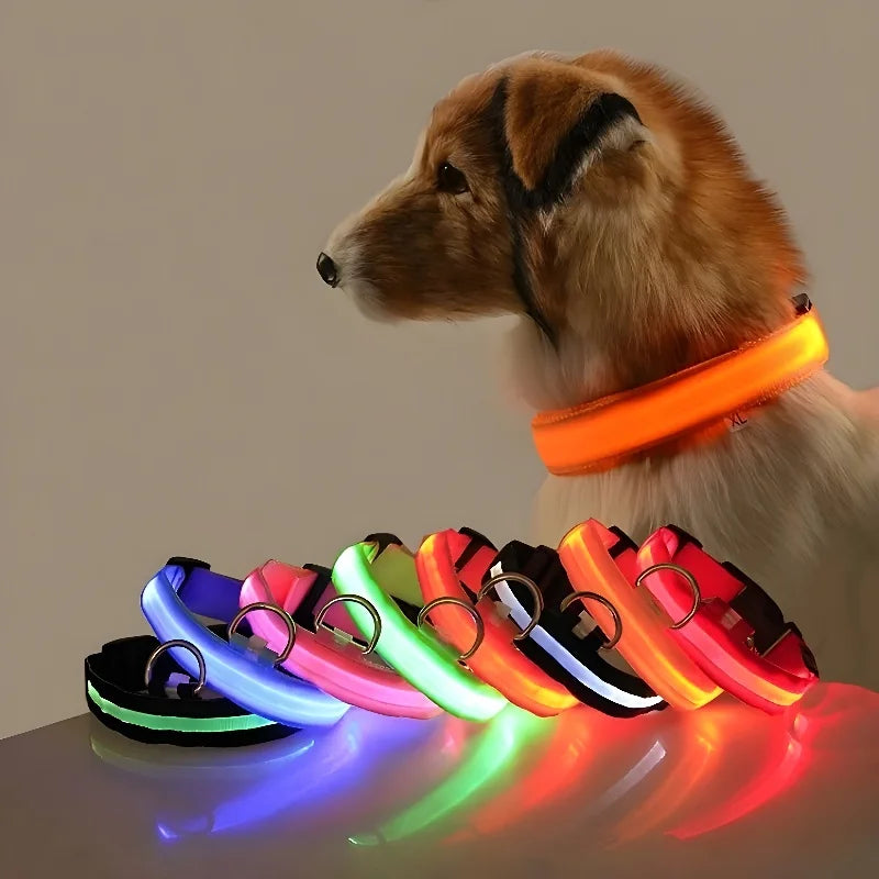 Nylon Safety Flashing Glow In The Dark Dog Leash