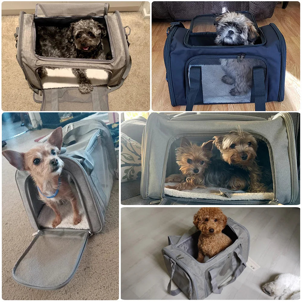 Airline Approved Medium and Large Pet Carriers