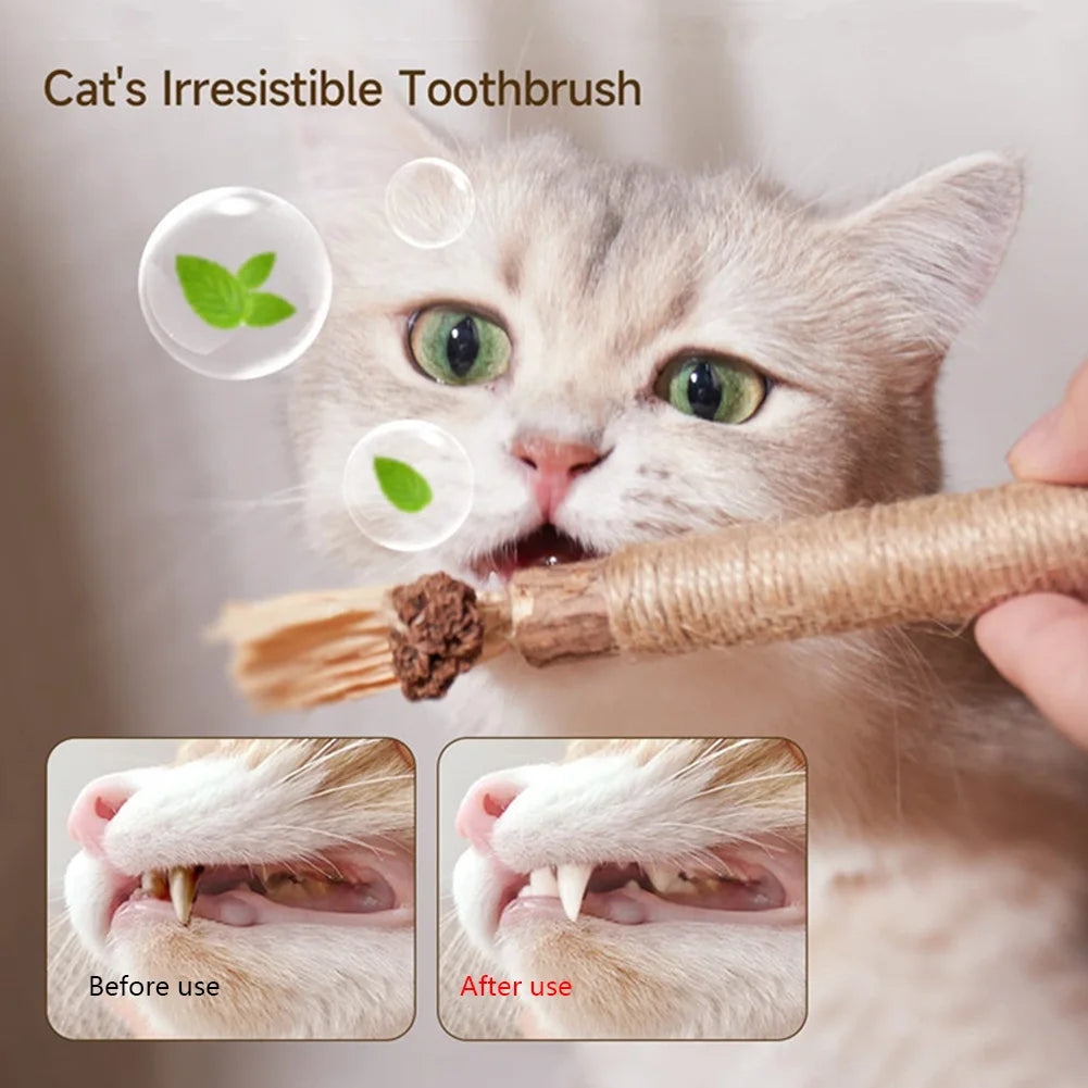 Natural Silvervine Cat Molar Play Stick