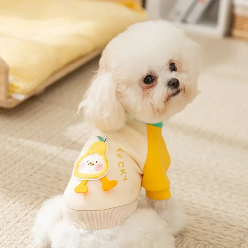 Cute Cartoon Backpack for Pets