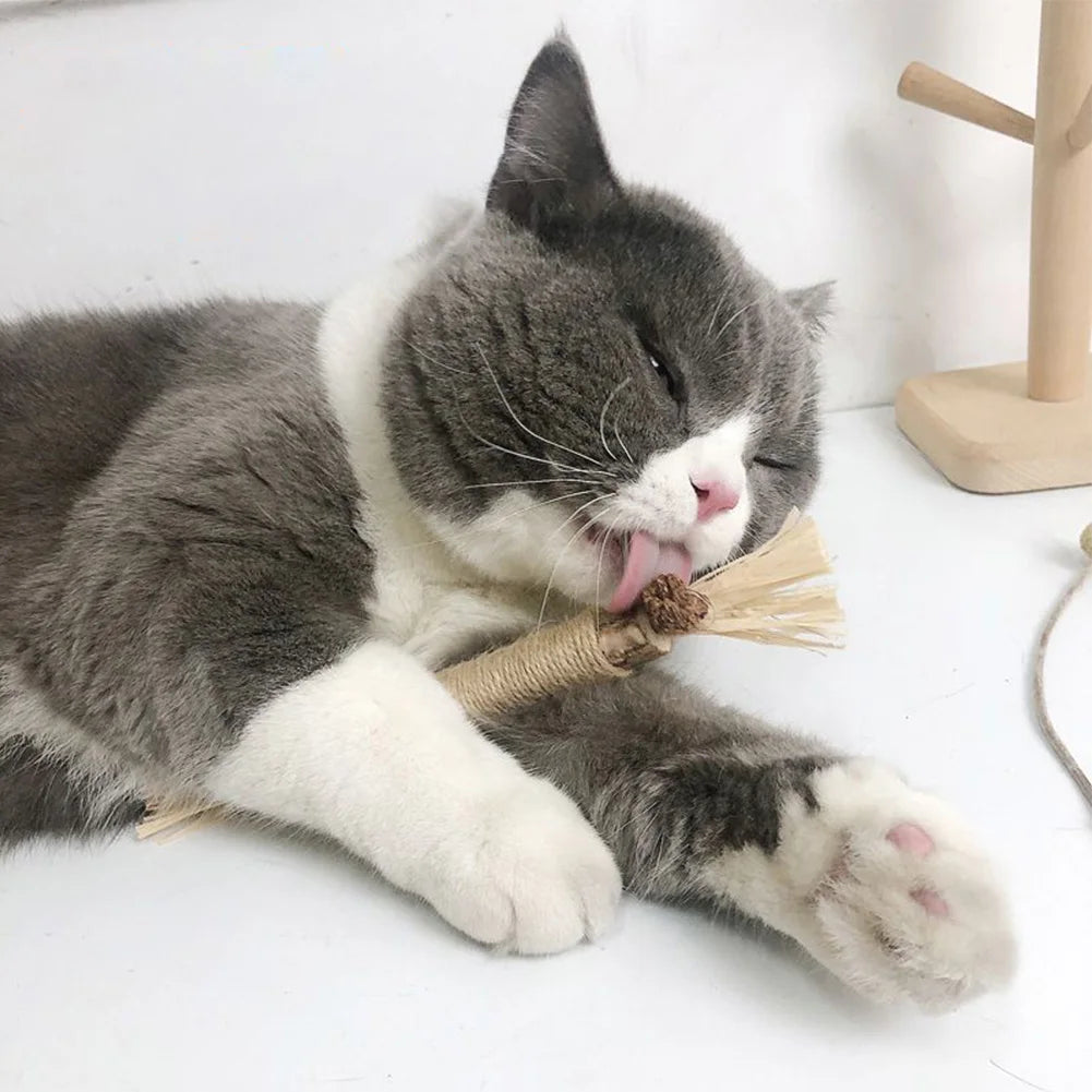 Natural Silvervine Cat Molar Play Stick