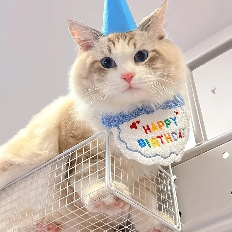 Adorable Pet Birthday Hat & Bandana Set